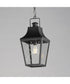 Storybook 1-Light Outdoor Pendant Black