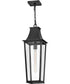 Georgetown 1-Light Large Hanging Lantern in Black