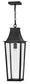 Georgetown 1-Light Large Hanging Lantern in Black