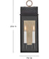 Campbell 2-Light Medium Wall Mount Lantern in Black