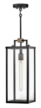 Catalina 1-Light Medium Hanging Lantern in Black