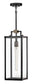 Catalina 1-Light Medium Hanging Lantern in Black