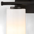 Belinder 2-light Bath Vanity Light Matte Black