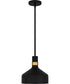 Quoizel Piccolo Pendant Small 1-light Mini Pendant Matte Black