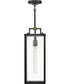 Catalina 1-Light Medium Hanging Lantern in Black