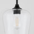 Raymond 1-light Pendant Matte Black