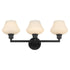 Cassini 3-light Bath Vanity Light Matte Black