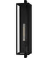 Dale Large 1-light Outdoor Wall Light Matte Black