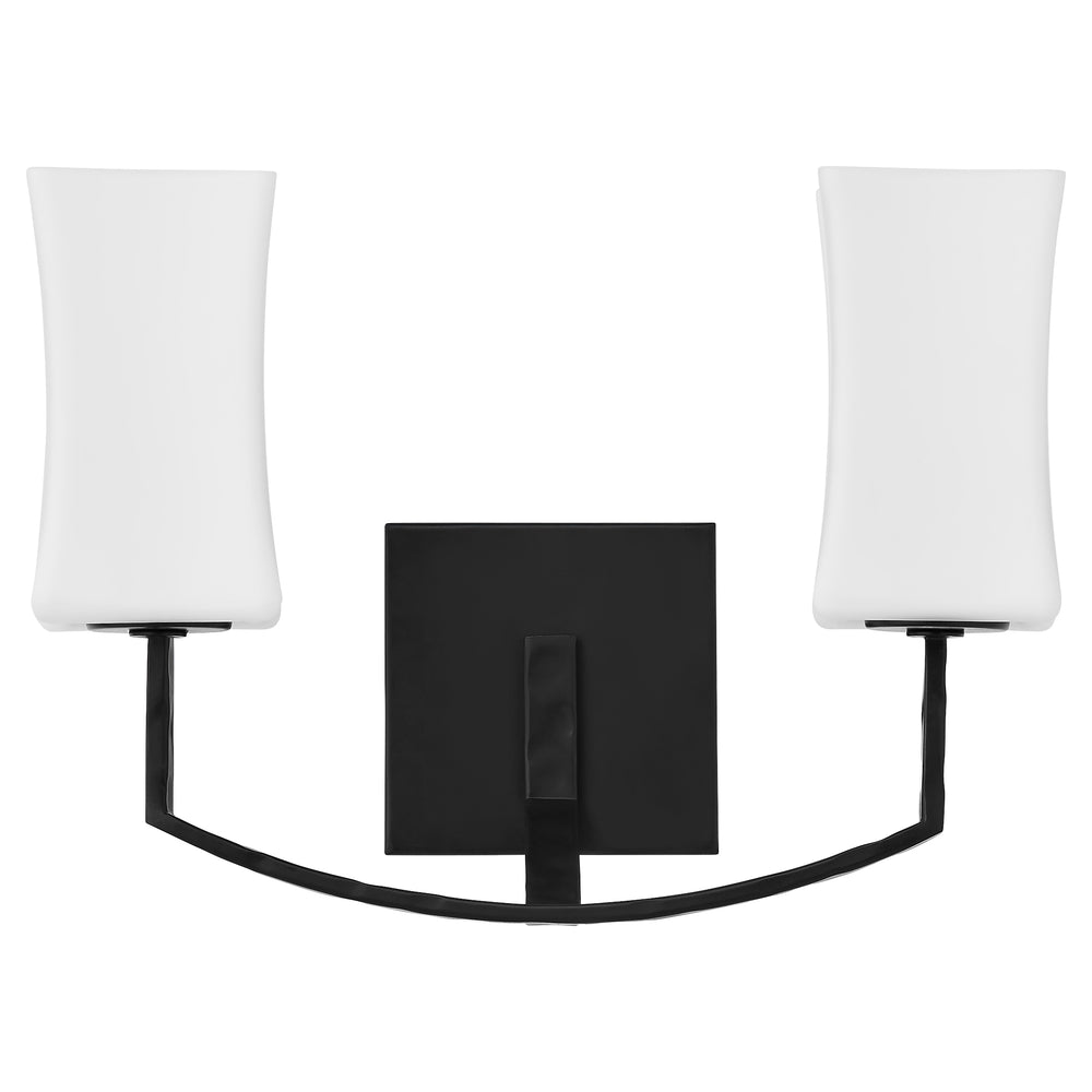 Ayala 2-light Wall Mount Light Fixture Matte Black