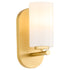 Belinder 1-light Wall Mount Light Fixture Aged Brass