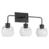 Lacy 3-light Bath Vanity Light Matte Black