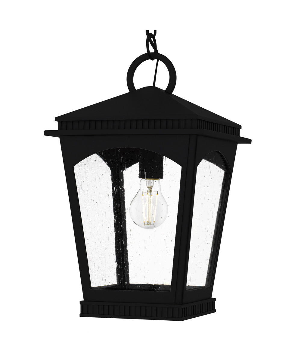 Huck Large 1-light Outdoor Pendant Light Earth Black