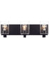 McClane 3-Light Lighting Flat Black