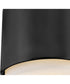 Cedric 1-Light Extra Small Flush Mount in Black