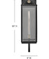 Catalina 1-Light Large Wall Mount lantern in Black