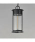 Windsor 1-Light Outdoor Pendant Black Patina