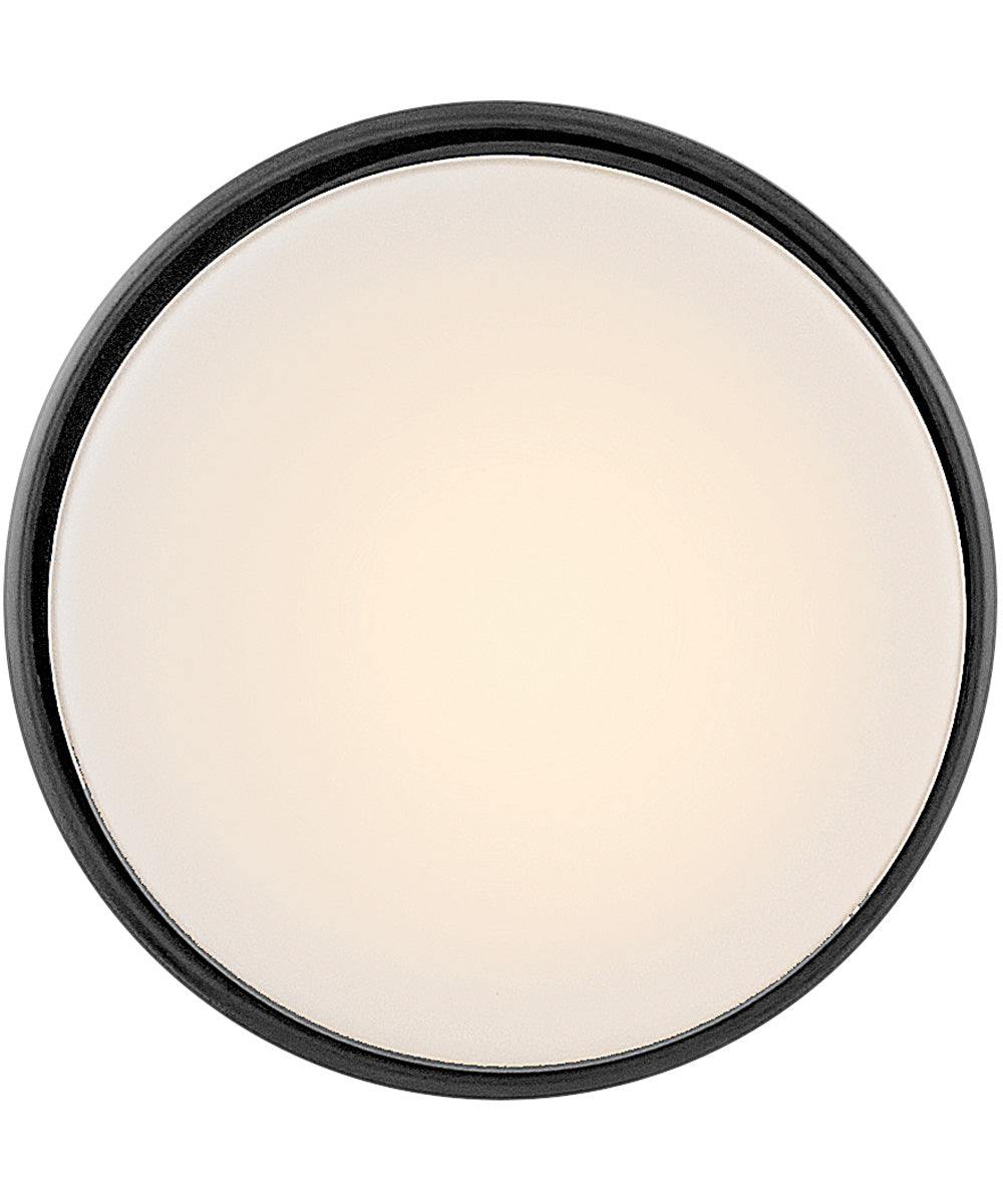 Cedric 1-Light Extra Small Flush Mount in Black