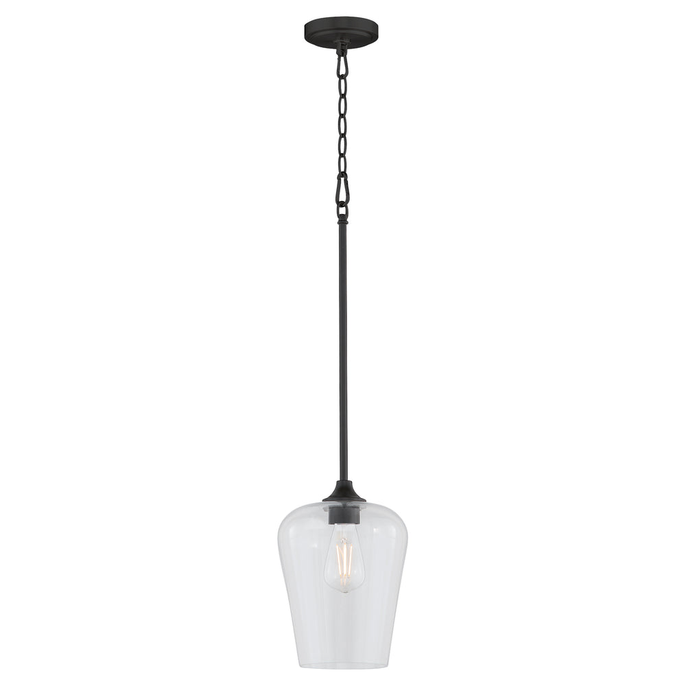 Raymond 1-light Pendant Matte Black