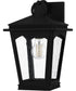 Huck Medium 1-light Outdoor Wall Light Earth Black