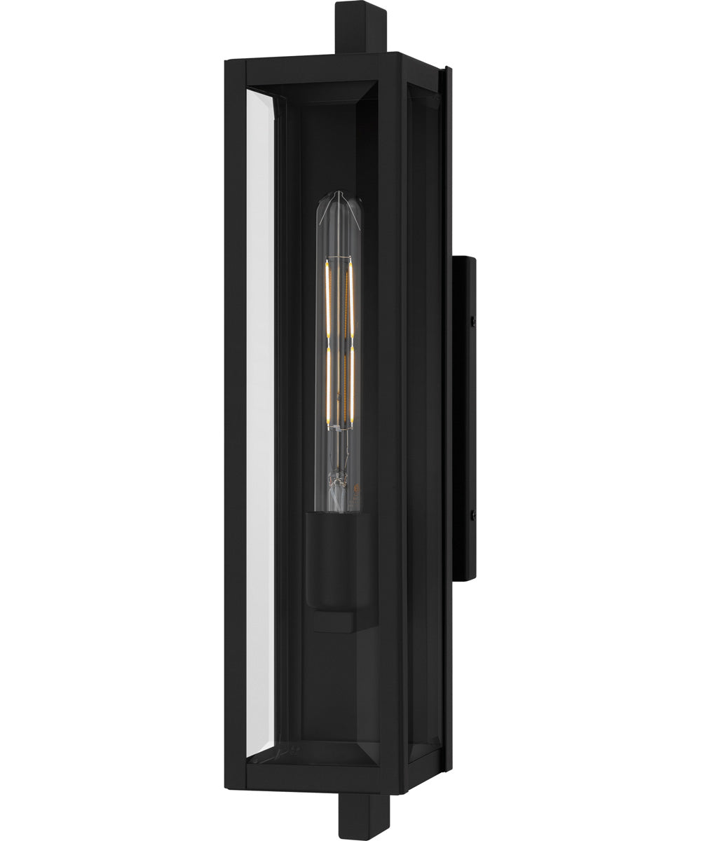 Dale Medium 1-light Outdoor Wall Light Matte Black