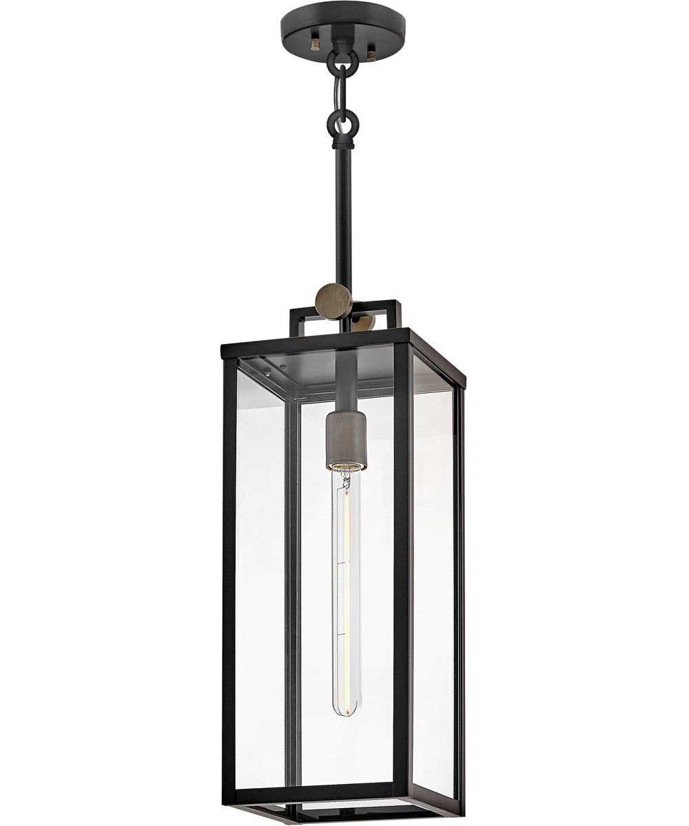 Catalina 1-Light Medium Hanging Lantern in Black