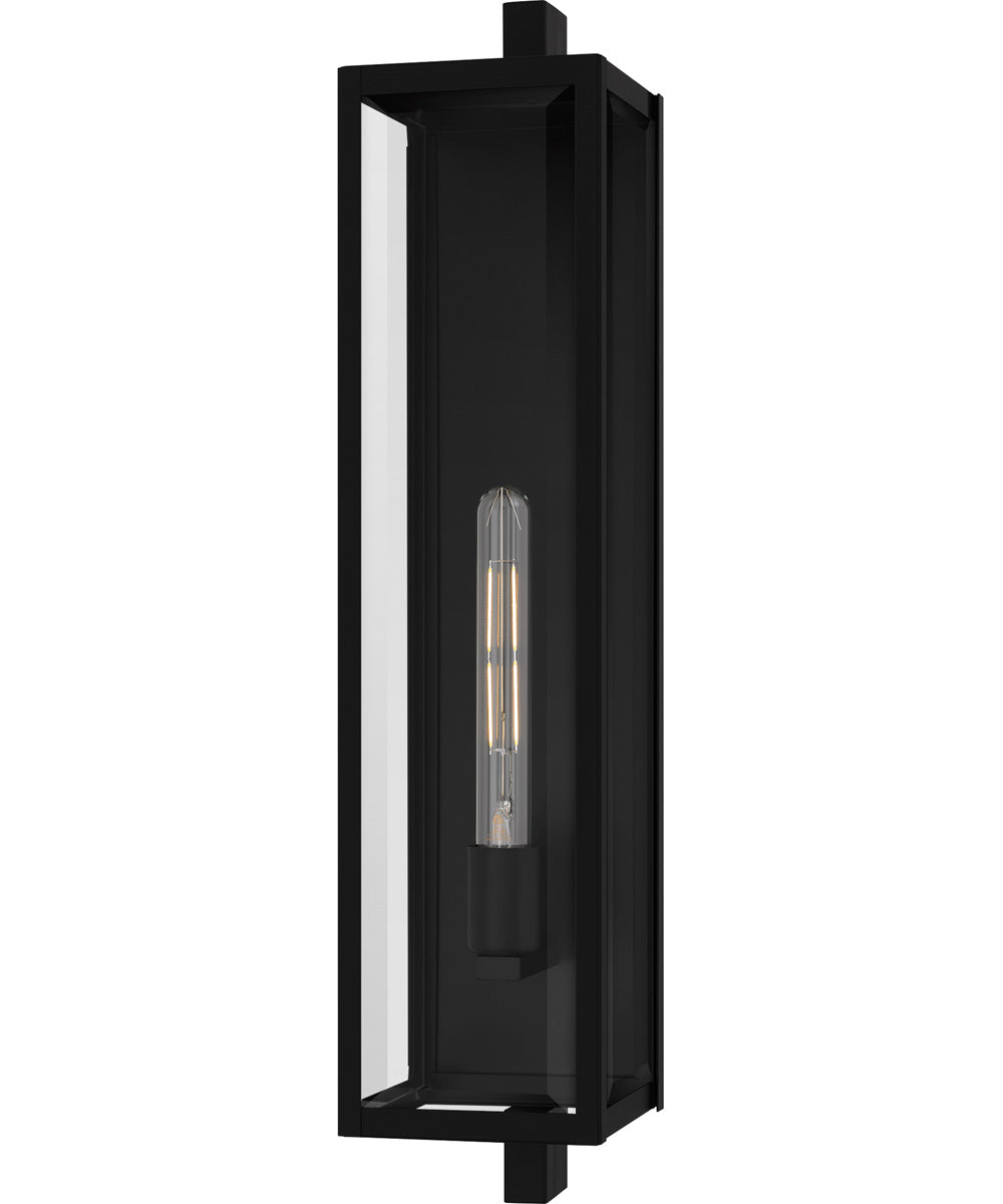 Dale Large 1-light Outdoor Wall Light Matte Black