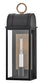 Campbell 1-Light Medium Wall Mount Lantern in Black