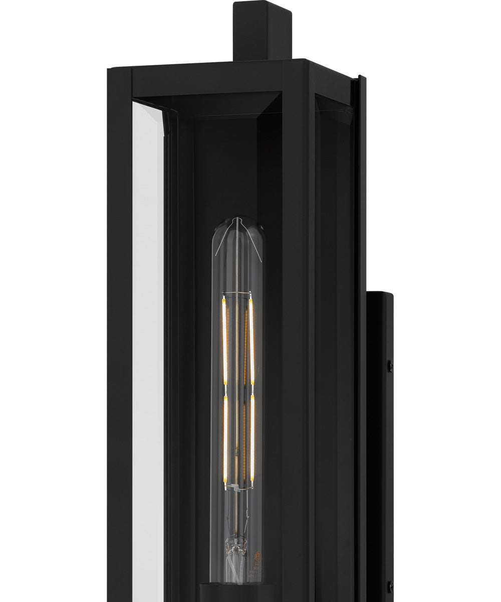 Dale Medium 1-light Outdoor Wall Light Matte Black