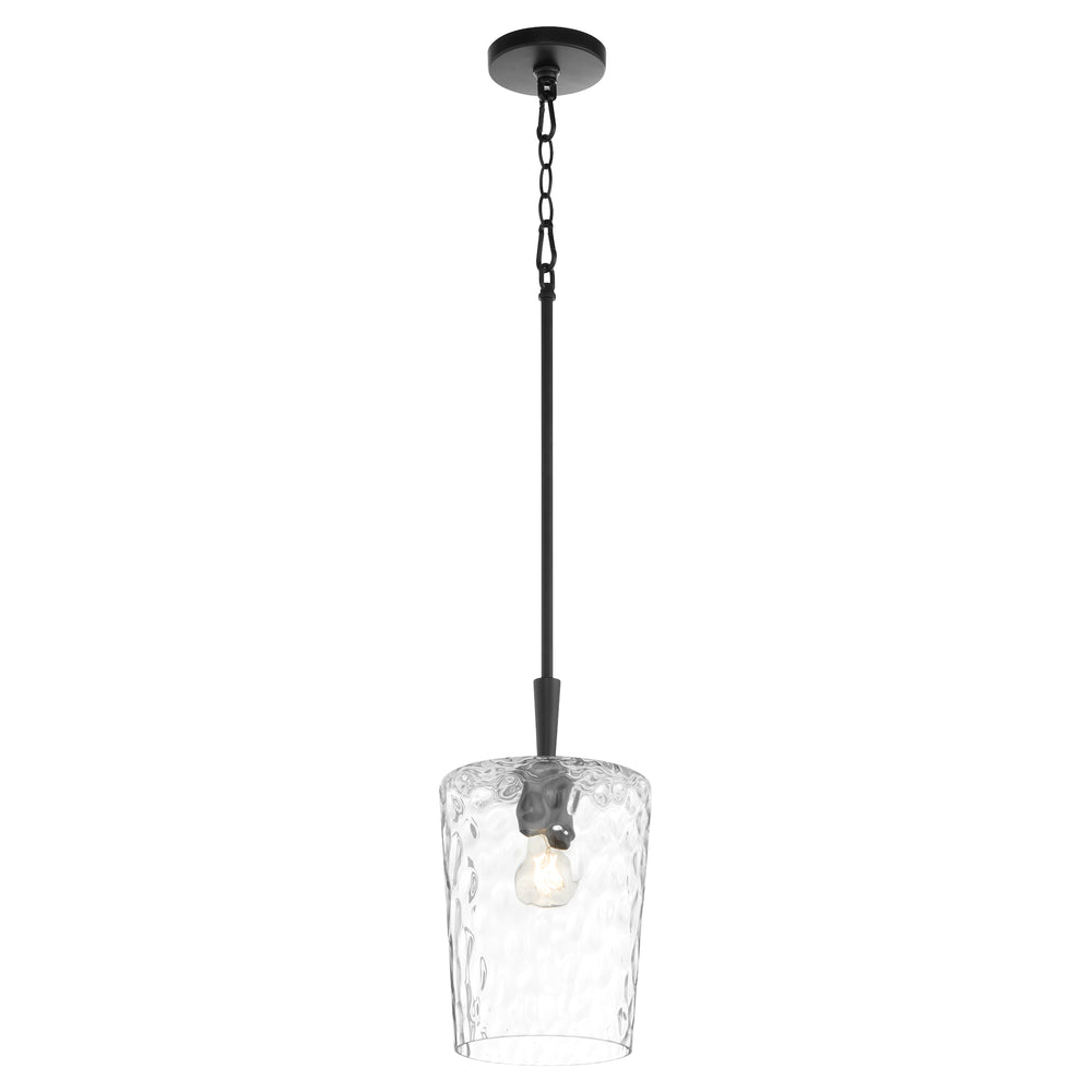 Goodwin 1-light Pendant Matte Black