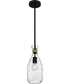 Quoizel Piccolo Pendant Small 1-light Mini Pendant Matte Black