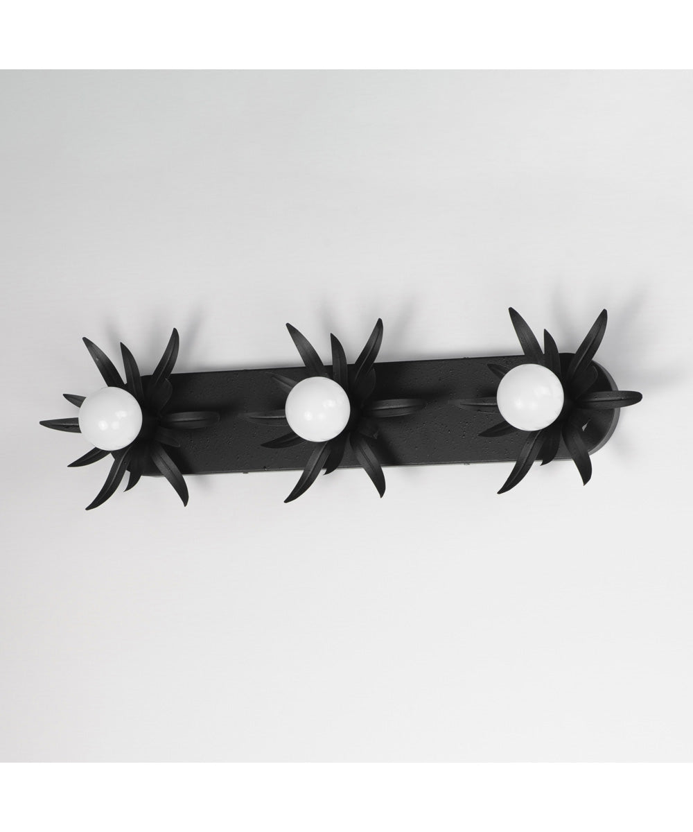 Paloma 3-Light Sconce Anthracite