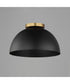 Thelonious 16 inch Flush Mount Black / Natural Aged Brass