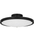 Quoizel Semi-Flush Mount Medium Semi Flush Mount Matte Black