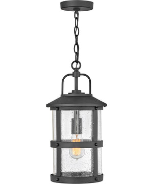 Lakehouse 1-Light Medium Outdoor Hanging Lantern in Black