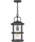 Lakehouse 1-Light Medium Outdoor Hanging Lantern in Black