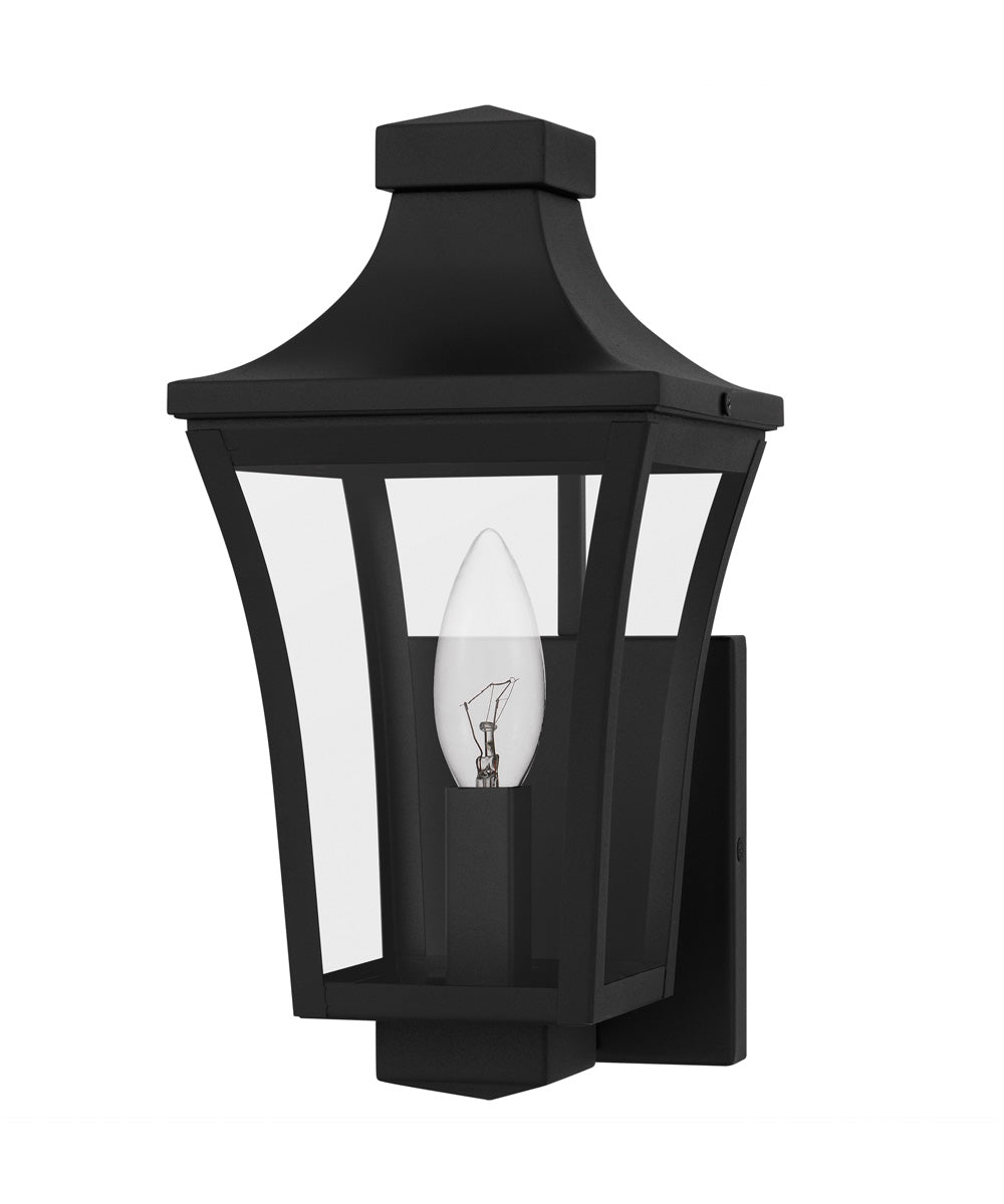 Quentin Small 1-light Outdoor Wall Light Earth Black