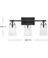 Foster 3-Light Medium Three Light Vanity in Black