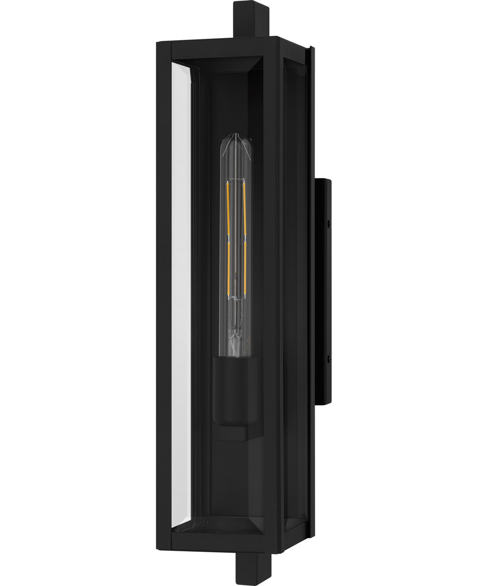 Dale Medium 1-light Outdoor Wall Light Matte Black