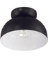 Ventura Dome 1-Light Lighting Flat Black