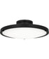 Quoizel Semi-Flush Mount Medium Semi Flush Mount Matte Black