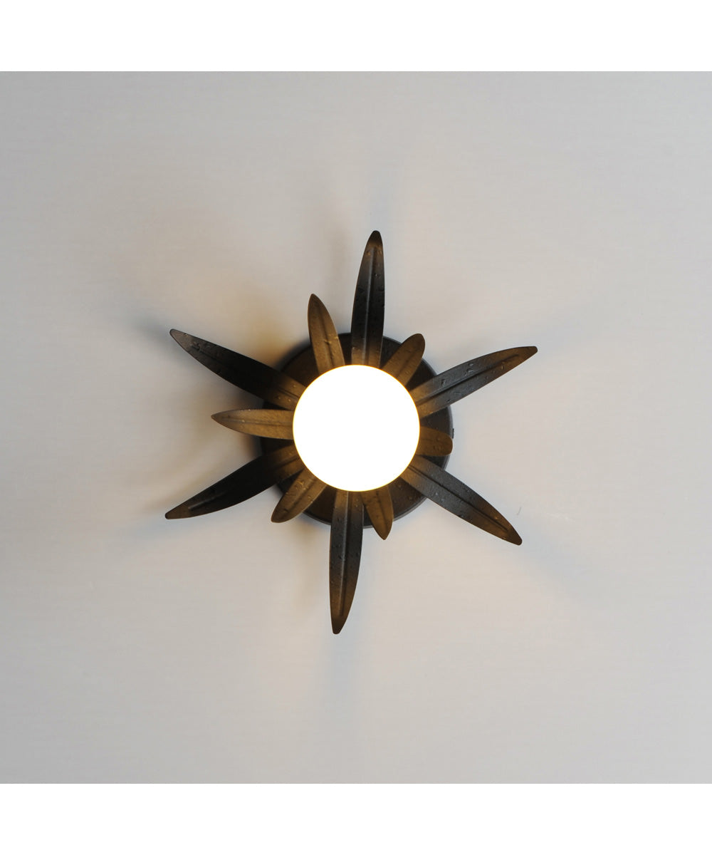 Paloma 1-Light Sconce Anthracite