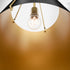 Denise 1-light Pendant Matte Black w/ Aged Brass