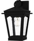 Huck Medium 1-light Outdoor Wall Light Earth Black