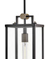 Catalina 1-Light Medium Hanging Lantern in Black