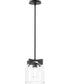 Scoop 1-Light Pendant/Flush Mount Black