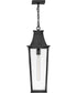 Georgetown 1-Light Large Hanging Lantern in Black