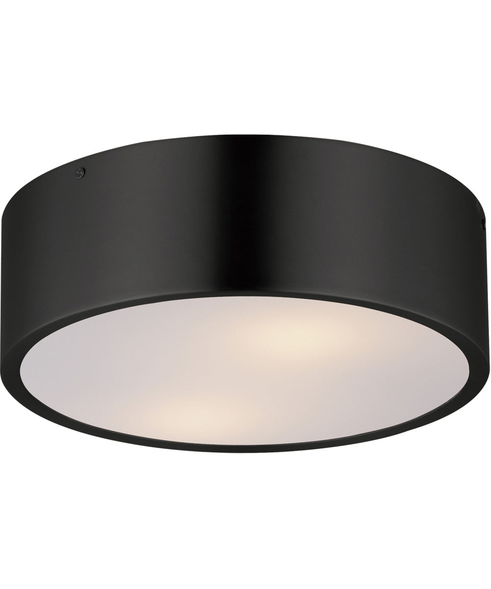 Tommy 12 inch  2-Light Surface Mount Black