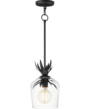 Paloma Single Pendant Anthracite