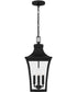 Quentin Large 4-light Outdoor Pendant Light Earth Black