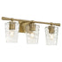 Goodwin 3-light Bath Vanity Light Aged Brass